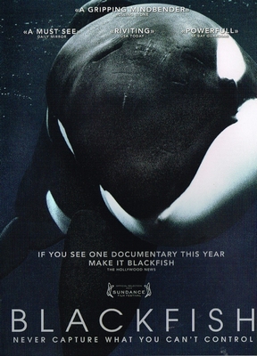 BlackFish