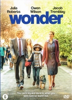 Wonder